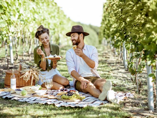 3 Tage Weingenuss in Franken mit Wanderung & Brotzeit in Schweinfurt, Bayern inkl. Frühstück Unkategorisiert online kaufen