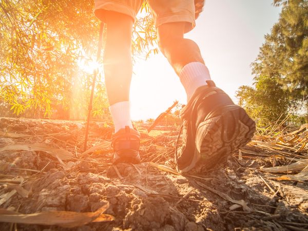 4 Tage Früh starten, loswandern & die Zugspitzregion genießen – Ihr Aktivurlaub wartet! in Grainau, Bayern inkl. Frühstück Unkategorisiert online kaufen