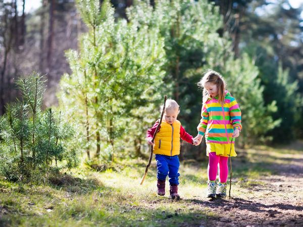 4 Tage Oma und Opa mit Enkel im bayerischen Wald – 5T - ÜF in Neukirchen (Niederbayern), Bayern inkl. Frühstück Unkategorisiert online kaufen 4 Tage Oma und Opa mit Enkel im bayerischen Wald – 5T - ÜF in Neukirchen (Niederbayern), Bayern inkl. Frühstück Unkategorisiert online kaufen