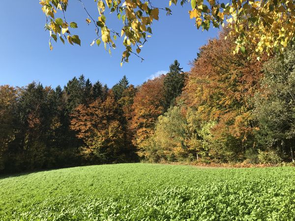 4 Tage Ruhe und Natur pur in Hohenwarth, Bayern inkl. Frühstück Unkategorisiert online kaufen