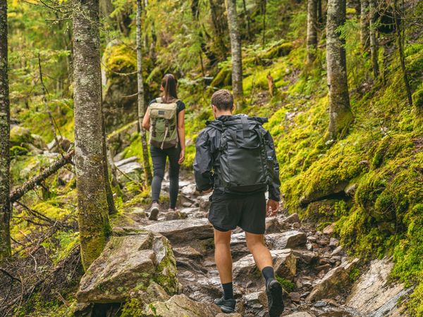 4 Tage Wandern und Entspannen am PrädikatswanderwegGoldsteig in Vohenstrauß, Bayern inkl. Halbpension Plus Unkategorisiert online kaufen