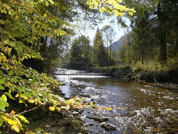 5 Tage Wandern im Chiemgau, Abendessen am Anreisetag in Reit im Winkl, Bayern inkl. Halbpension Unkategorisiert online kaufen