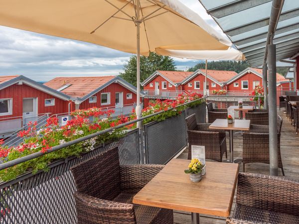 7 Tage Bayerischer Wald für Oma, Opa - Enkel gratis* 8Tg/HP in Neukirchen (Niederbayern), Bayern inkl. Halbpension Unkategorisiert online kaufen