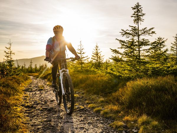 7 Tage Urlaub im Chiemgau inkl. E-Bikes für einen Tag, täglich Abendessen in Unterwössen, Bayern inkl. Halbpension Unkategorisiert online kaufen