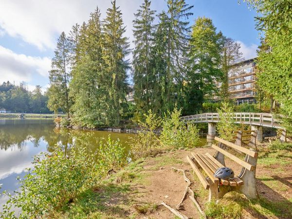 Auszeit im Bayerischen Wald I 7 Tage Alles Inklusive in Thurmansbang, Bayern inkl. All Inclusive Unkategorisiert online kaufen