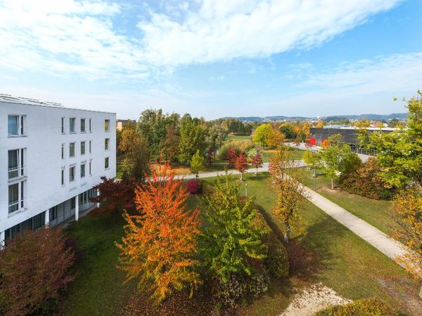Deggendorf trifft London - 3 Tage mit Frühstück im SCOTTY + PAUL Hotel Deggendorf, Bayern inkl. Frühstück Unkategorisiert online kaufen