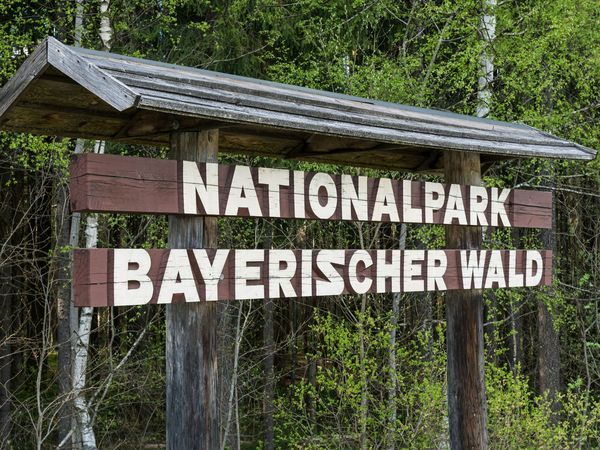 Erlebnistage im Bayerischen Wald - 3 Tage in Hohenau, Bayern inkl. Frühstück Unkategorisiert online kaufen