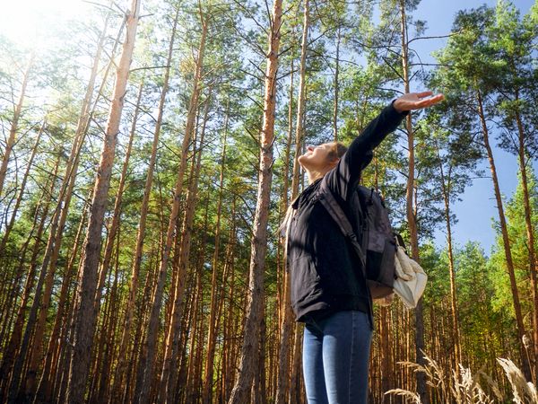 Erlebnistage im Bayerischen Wald - 4 Tage in Hohenau, Bayern inkl. Frühstück Unkategorisiert online kaufen