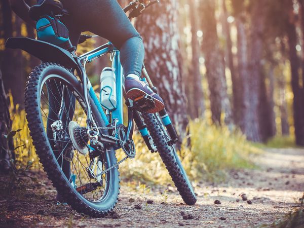 Neu & aufregend: Bikepark am Arber wartet – 3 Tage in Bayerisch Eisenstein, Bayern inkl. Halbpension Unkategorisiert online kaufen