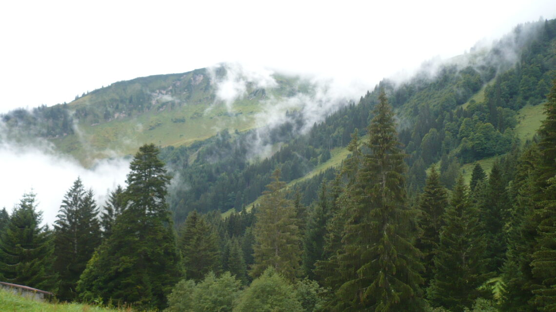 Mittenwald erleben
