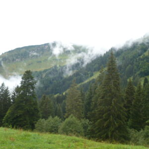 Mittenwald erleben